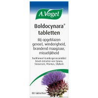 A. Vogel / Boldocynara tabletten