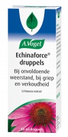 A. Vogel / Echinaforce