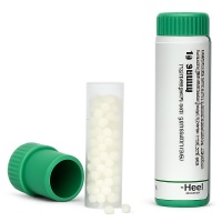 Cardiospermum halicacabum D30