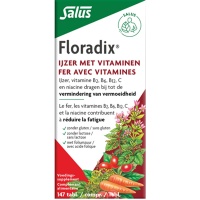 Salus / Floradix IJzer tabletten voordeelverpakking