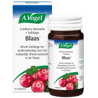 A. Vogel / Cranberry Monarda + Solidago