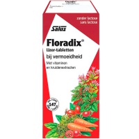 Salus / Floradix IJzer tabletten voordeelverpakking